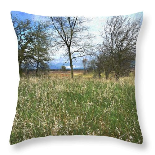 Spring Prairie Grass Landscape - Throw Pillow