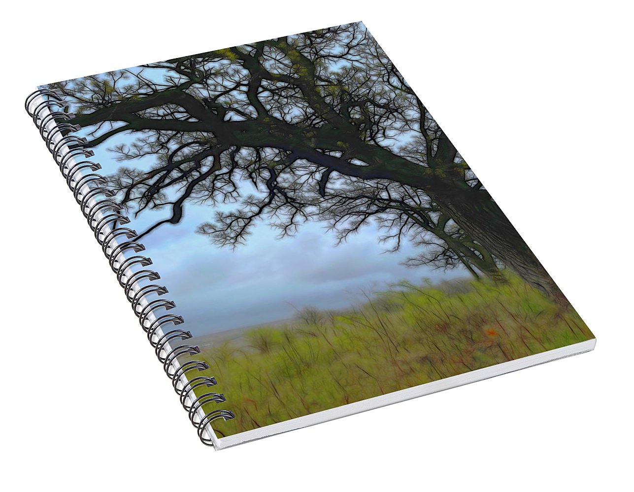 Spring Tree Buds - Spiral Notebook