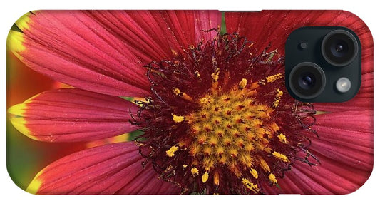 Sunburst Flower Close Up - Phone Case