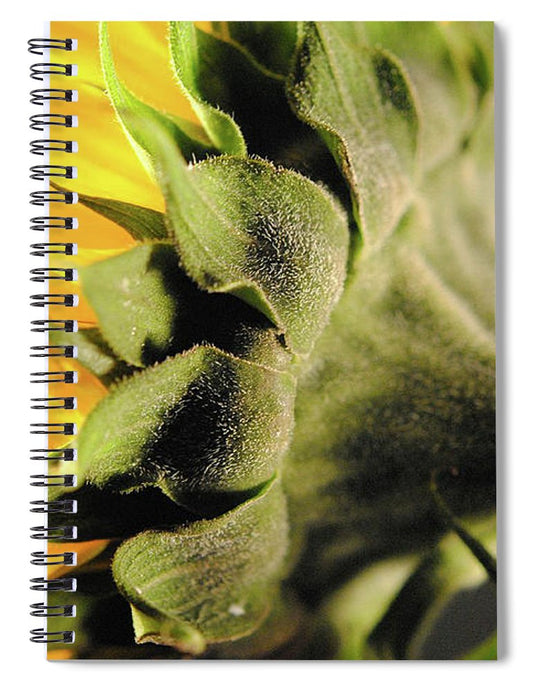 Sunflower Back - Spiral Notebook