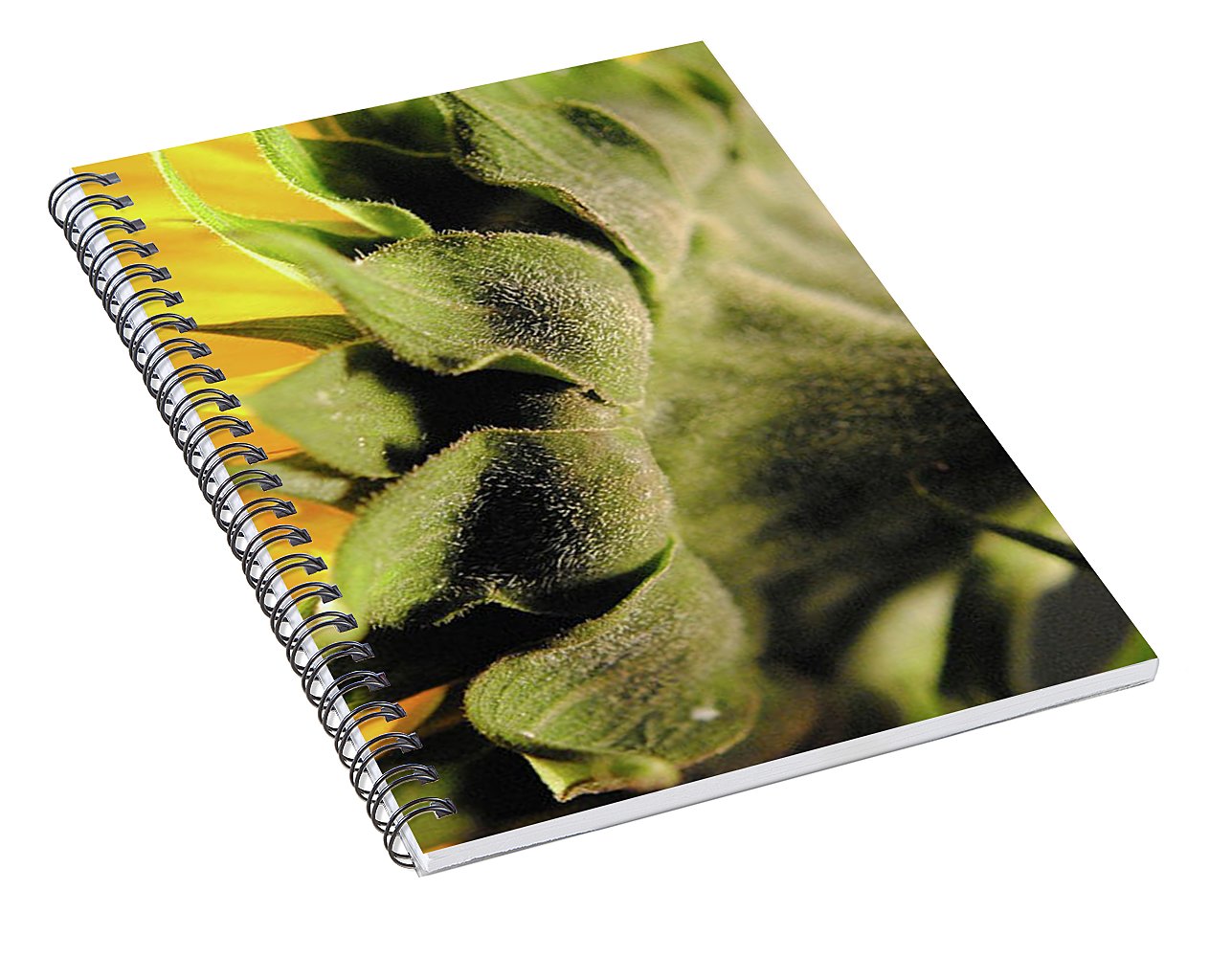 Sunflower Back - Spiral Notebook