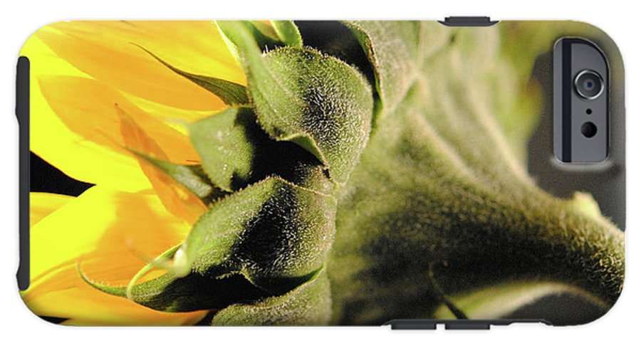 Sunflower Back - Phone Case
