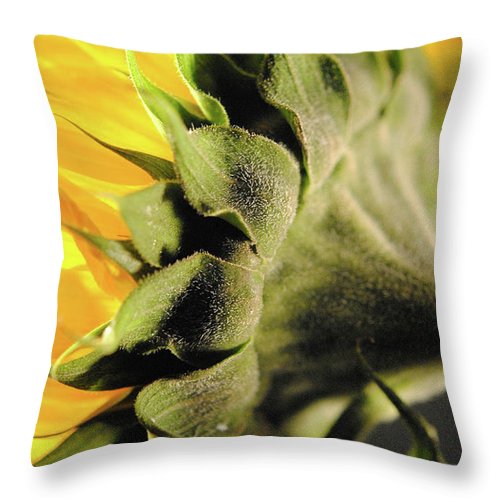 Sunflower Back - Throw Pillow