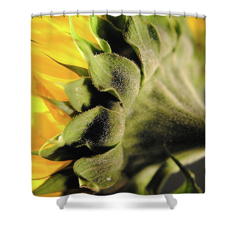 Sunflower Back - Shower Curtain