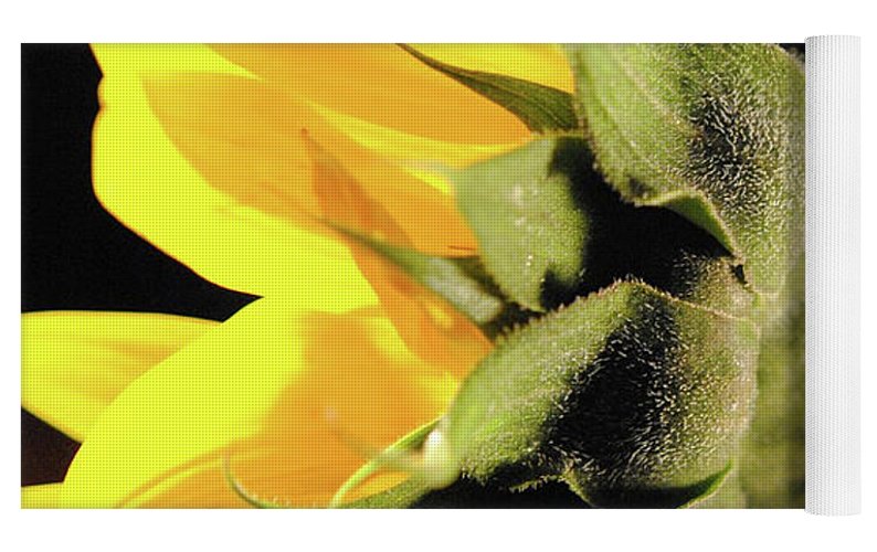 Sunflower Back - Yoga Mat