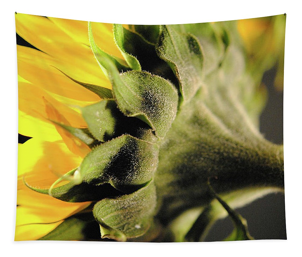 Sunflower Back - Tapestry