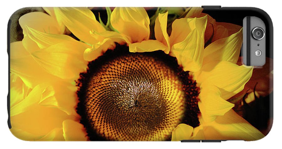 Sunflower Fades - Phone Case