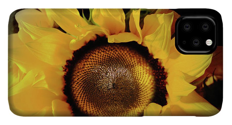 Sunflower Fades - Phone Case
