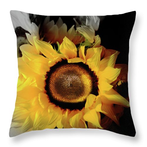 Sunflower Fades - Throw Pillow