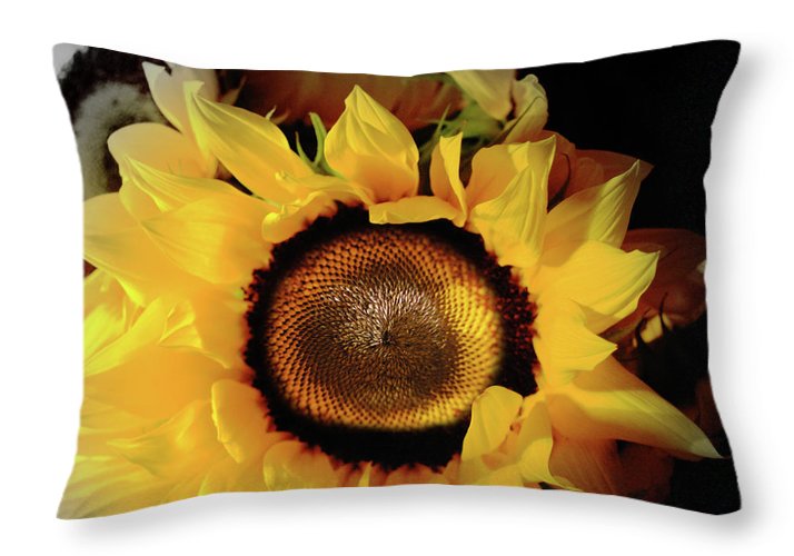 Sunflower Fades - Throw Pillow