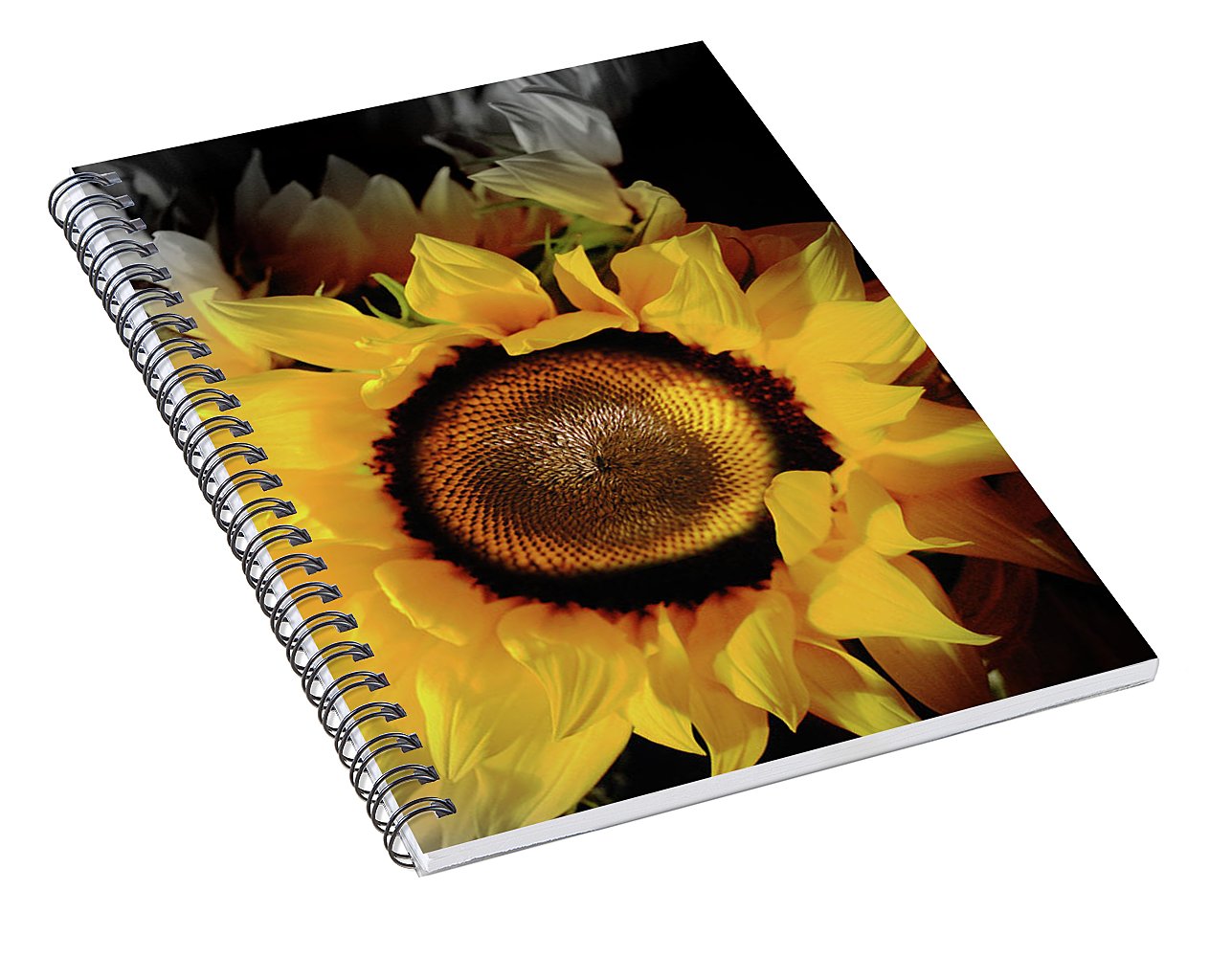 Sunflower Fades - Spiral Notebook