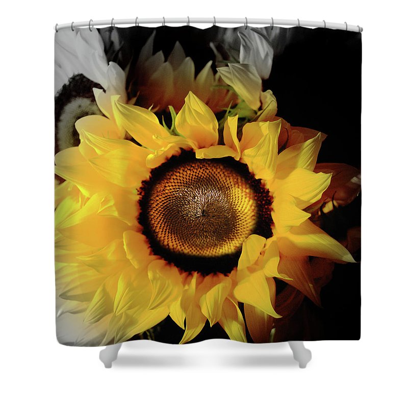Sunflower Fades - Shower Curtain