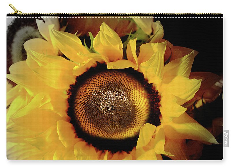 Sunflower Fades - Carry-All Pouch