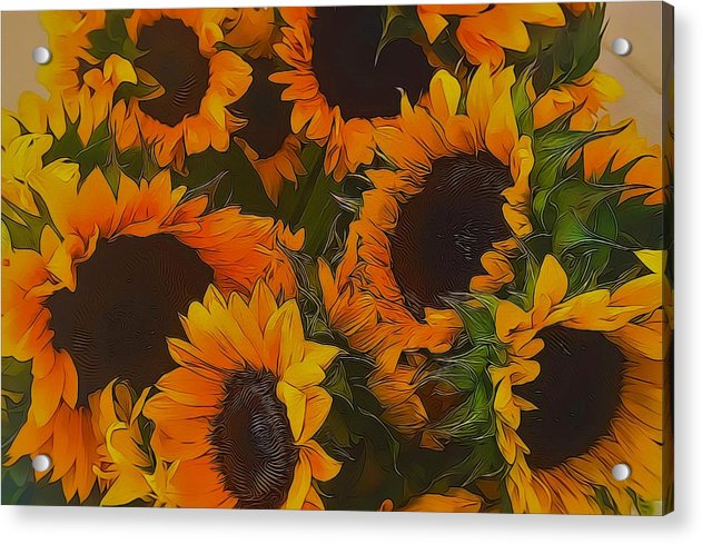Sunflowers - Acrylic Print