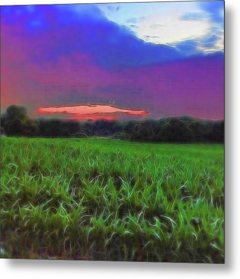 Sunset Over a Cornfield - Metal Print