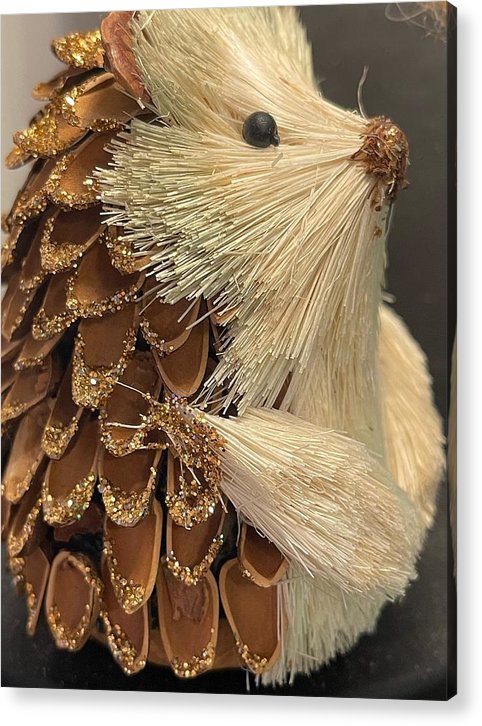The Hedgehog Ornament - Acrylic Print