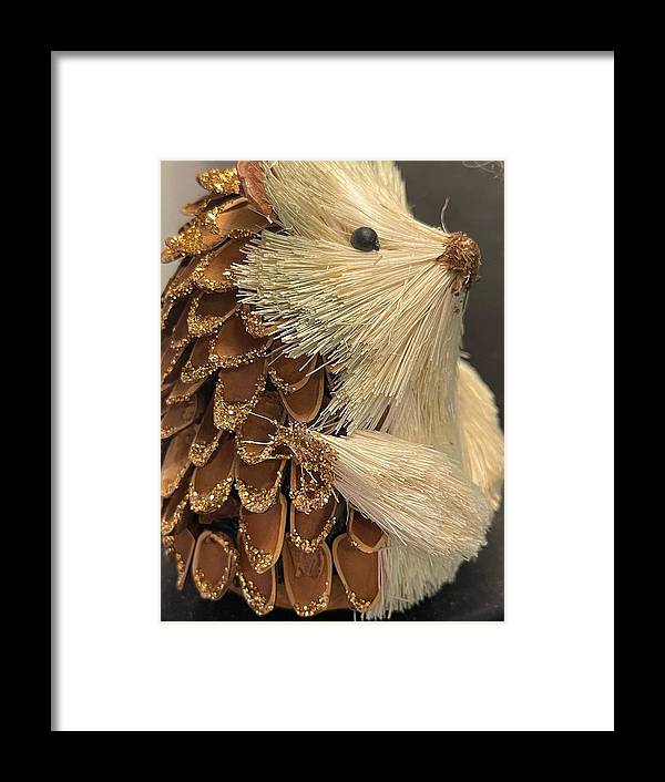 The Hedgehog Ornament - Framed Print