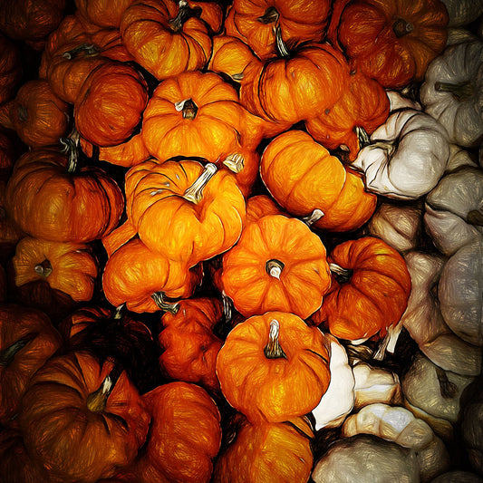 Tiny Pumpkins Pile Digital Image Download