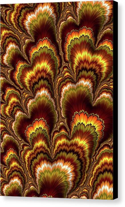 Turkey Feather Fractal - Canvas Print