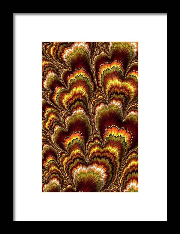 Turkey Feather Fractal - Framed Print