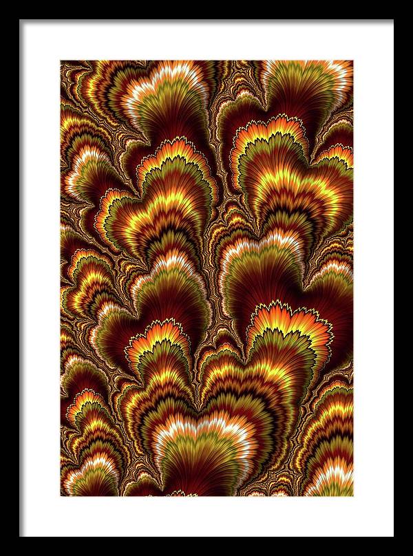 Turkey Feather Fractal - Framed Print