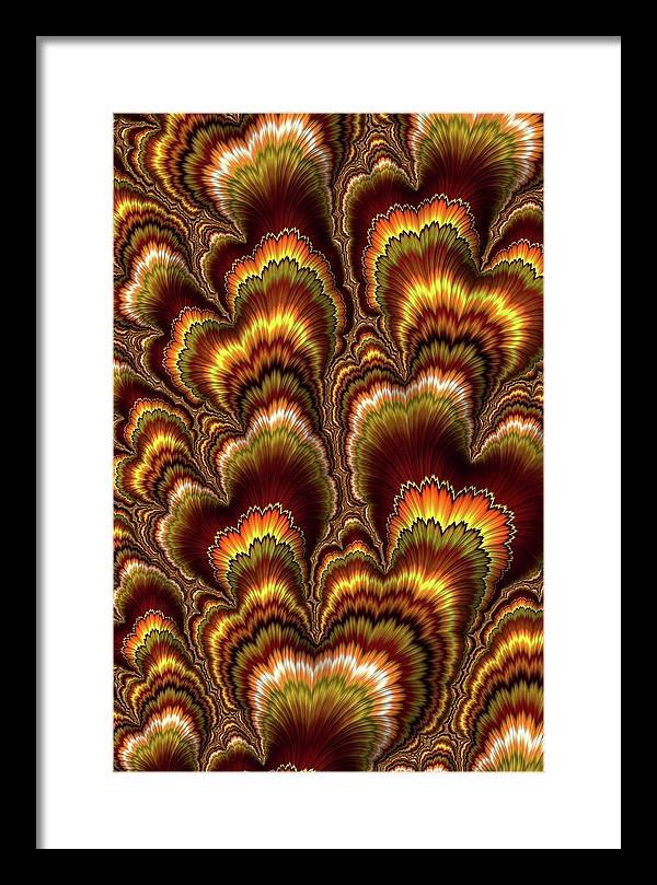 Turkey Feather Fractal - Framed Print