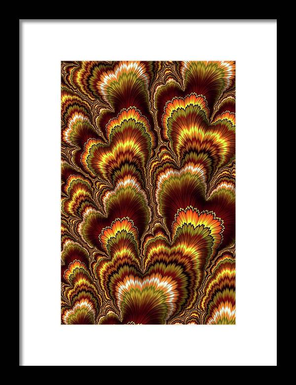 Turkey Feather Fractal - Framed Print