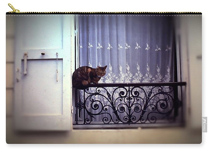 Vintage Travel Cat on a French Balcony 1967 - Carry-All Pouch