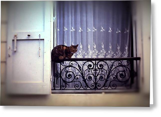 Vintage Travel Cat on a French Balcony 1967 - Greeting Card
