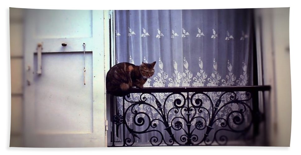 Vintage Travel Cat on a French Balcony 1967 - Beach Towel