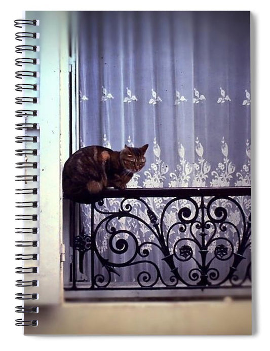 Vintage Travel Cat on a French Balcony 1967 - Spiral Notebook