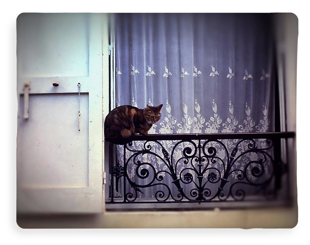 Vintage Travel Cat on a French Balcony 1967 - Blanket