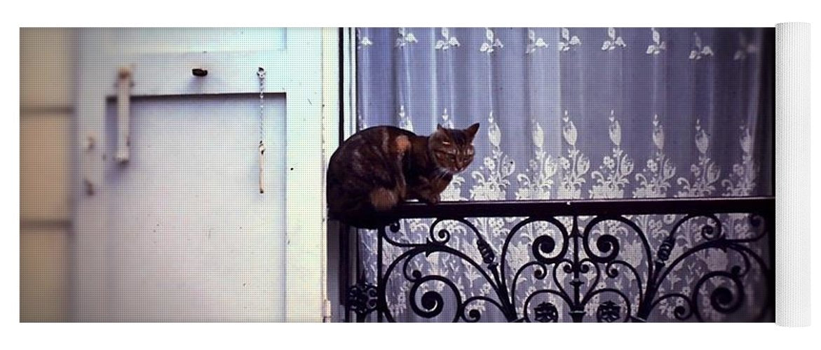 Vintage Travel Cat on a French Balcony 1967 - Yoga Mat