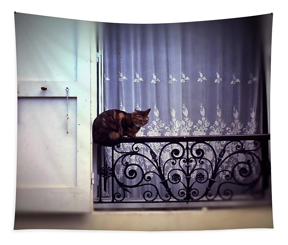 Vintage Travel Cat on a French Balcony 1967 - Tapestry