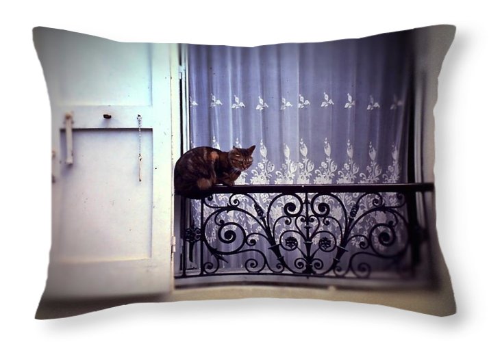 Vintage Travel Cat on a French Balcony 1967 - Throw Pillow