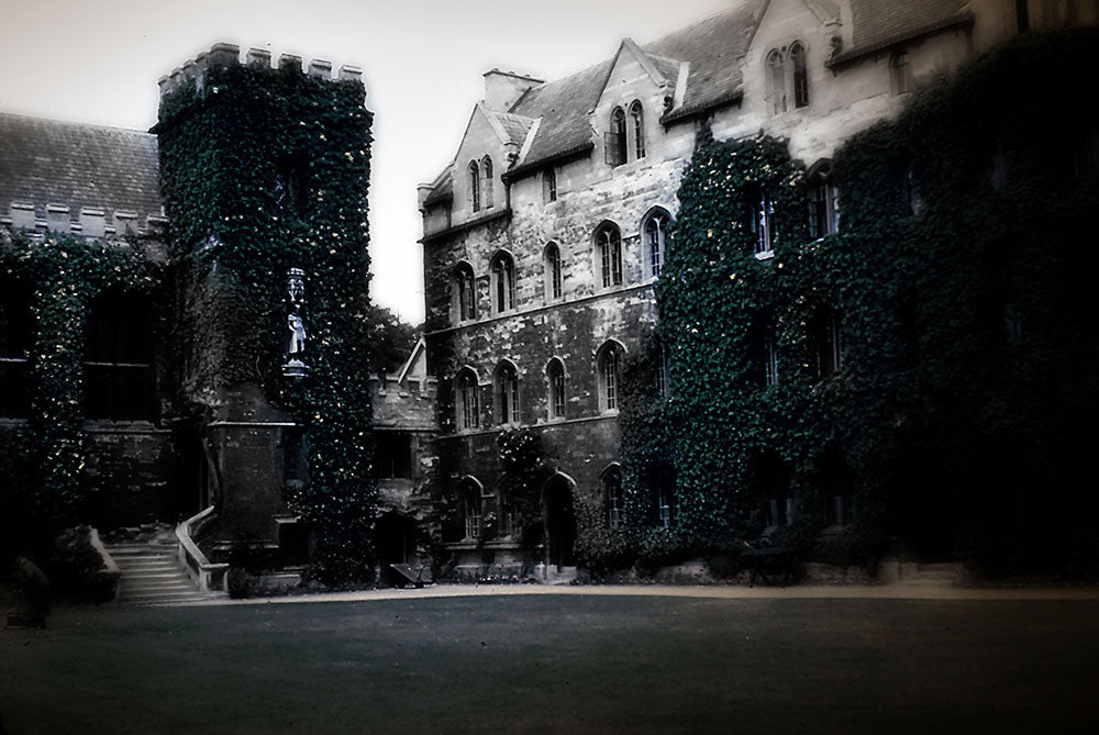 Vintage Ivy on Castle Walls Digital Image Download