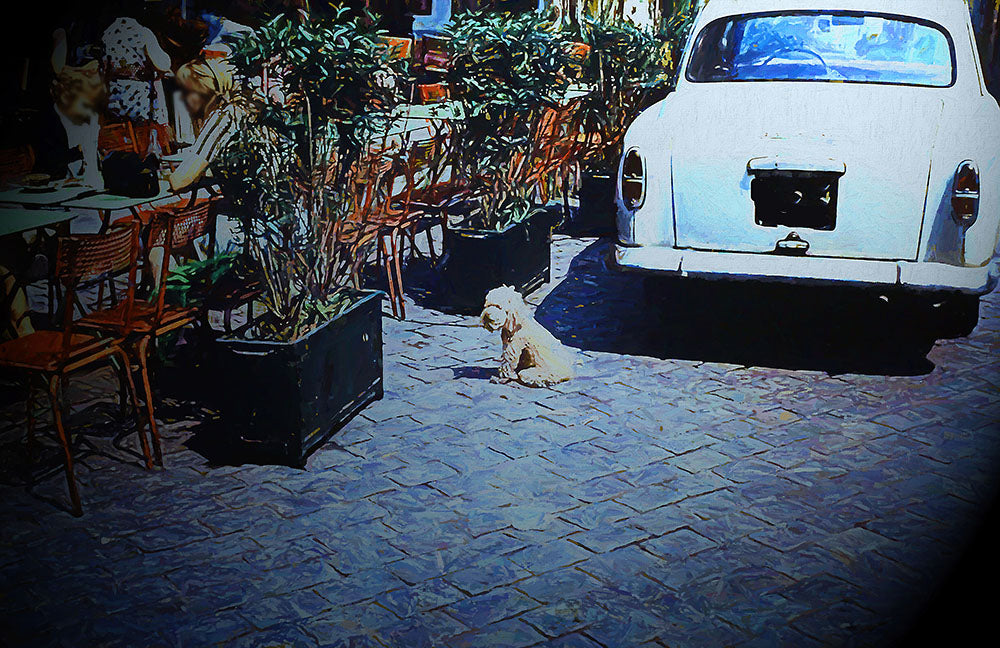 Vintage Travel Cafe With Dog Digital Image Download