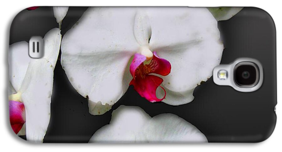 White and Pink Orchids - Phone Case