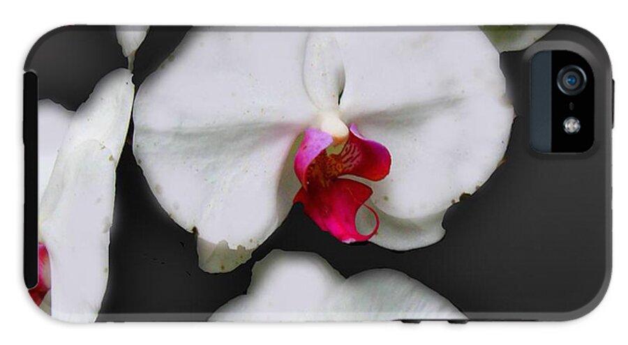 White and Pink Orchids - Phone Case