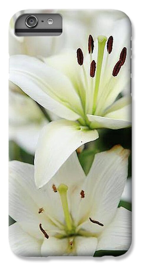 White Lilies - Phone Case