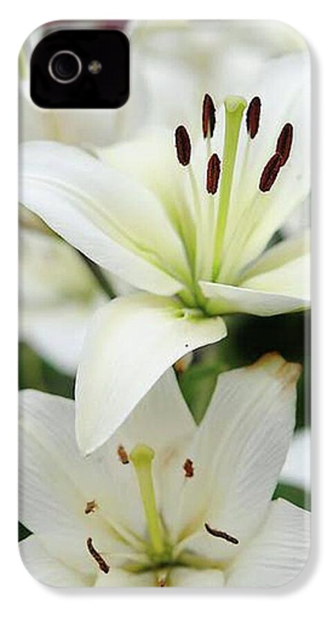 White Lilies - Phone Case