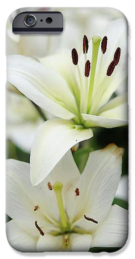 White Lilies - Phone Case