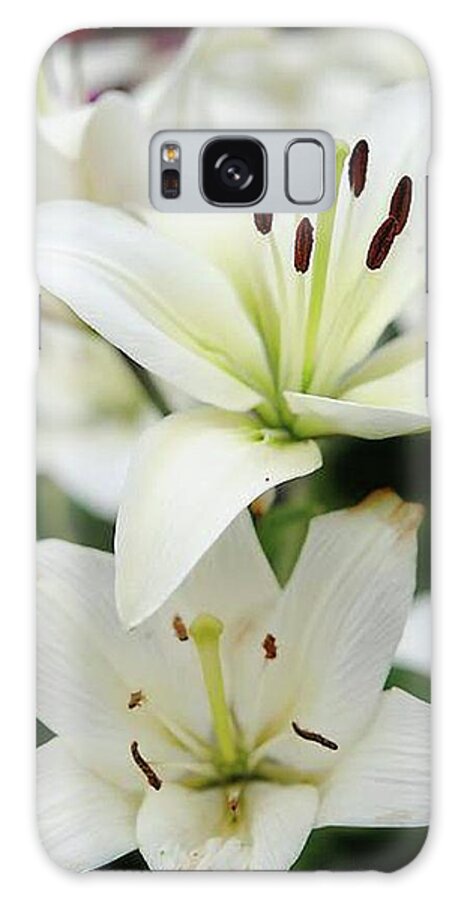 White Lilies - Phone Case