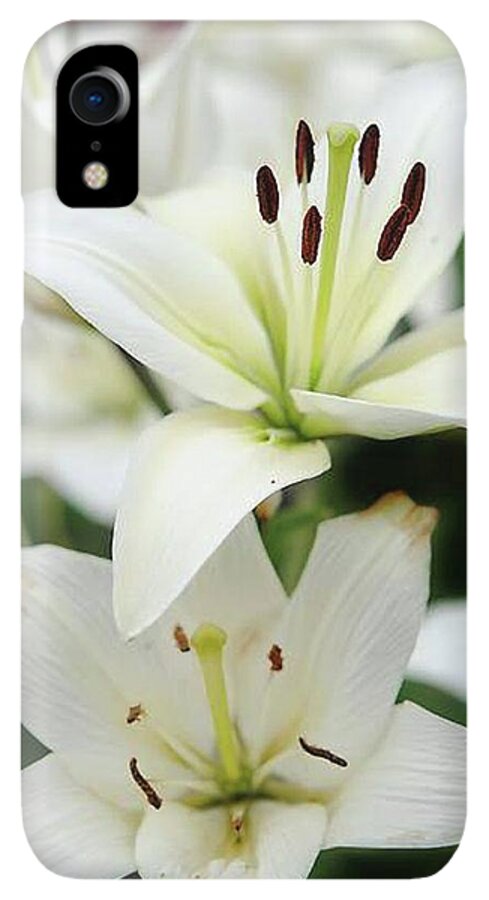 White Lilies - Phone Case