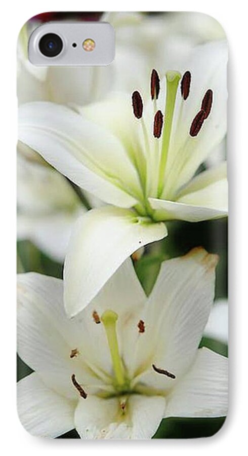 White Lilies - Phone Case