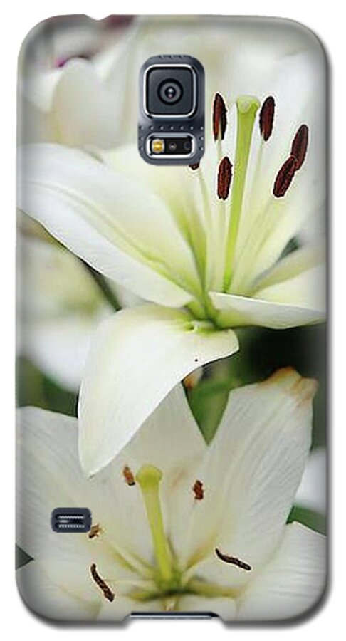 White Lilies - Phone Case