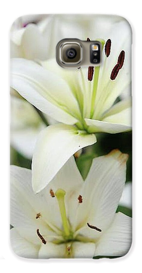 White Lilies - Phone Case