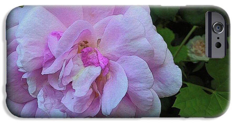 Wild Random Pink Rose - Phone Case