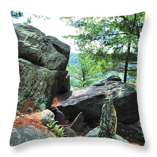 Wisconsin lake Parkland - Throw Pillow