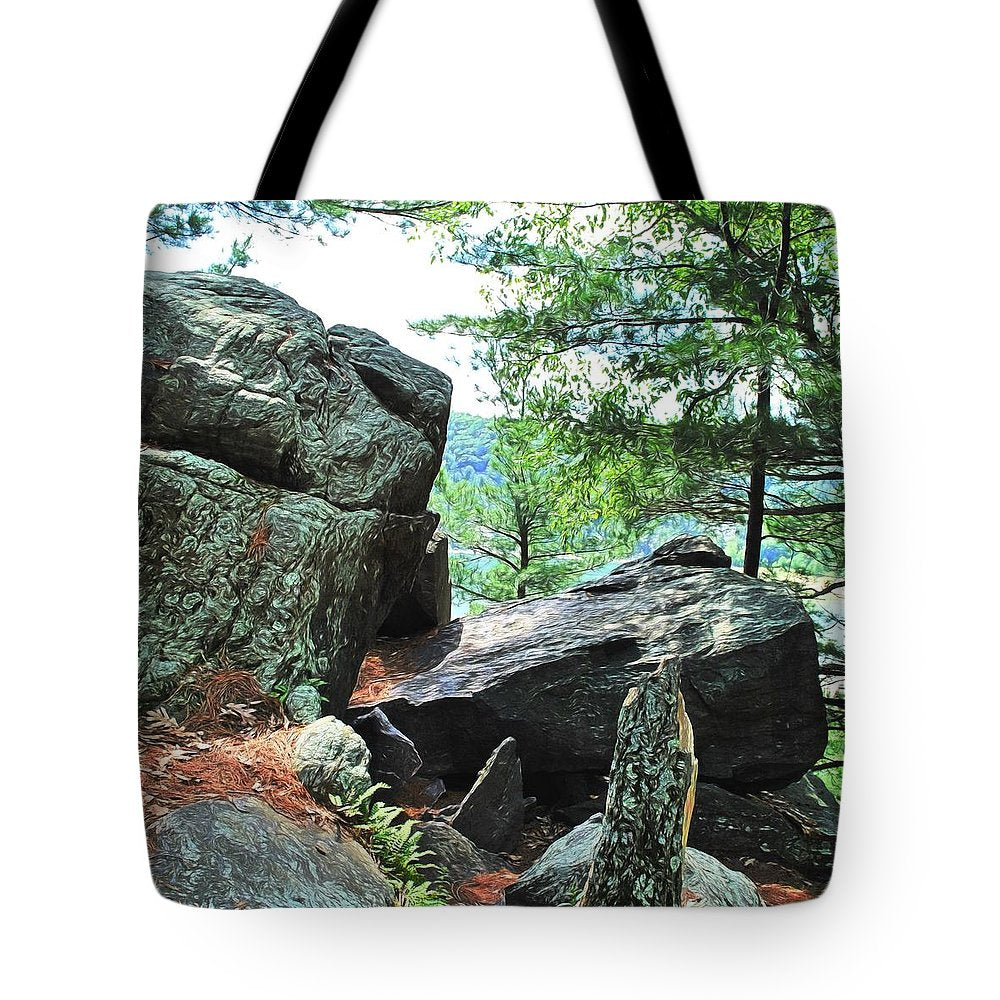 Wisconsin lake Parkland - Tote Bag